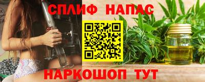 бошки Славгород