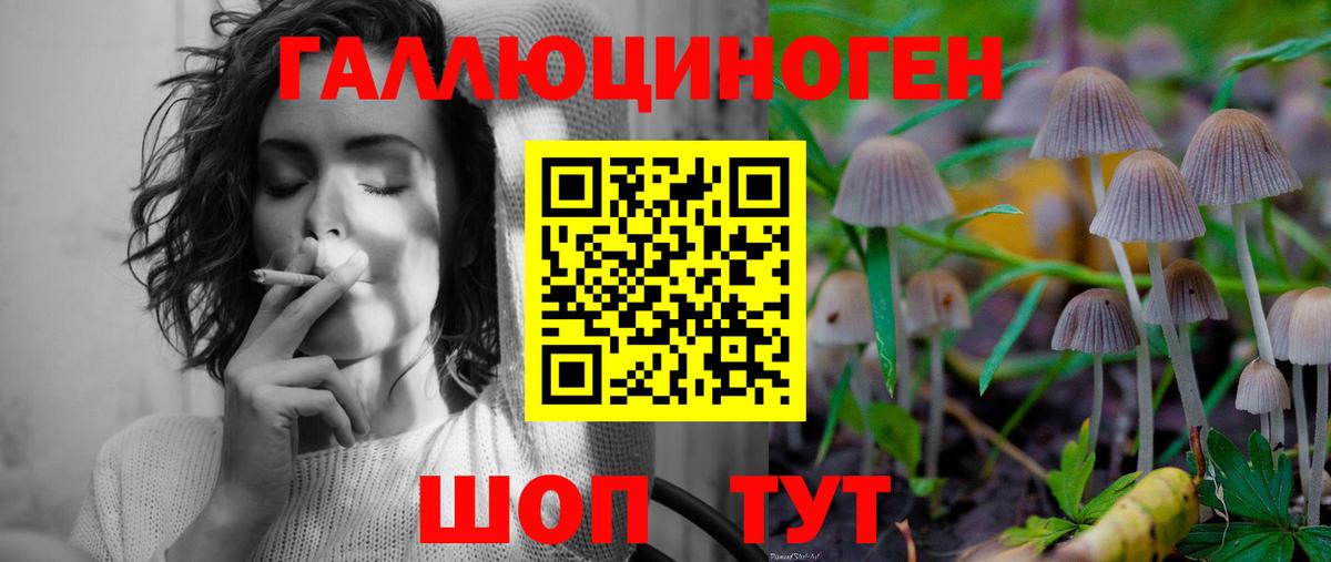 Псилоцибиновые грибы прущие грибы Астрахань